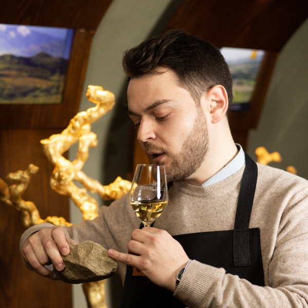 Visite Guidée avec dégustation de vin Classique 🇫🇷 (7)