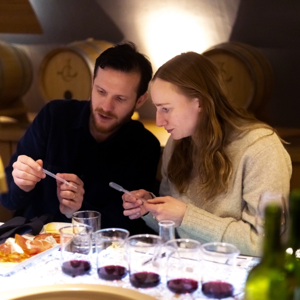 Winemaking workshop – Make your own wine 🇬🇧 (0)