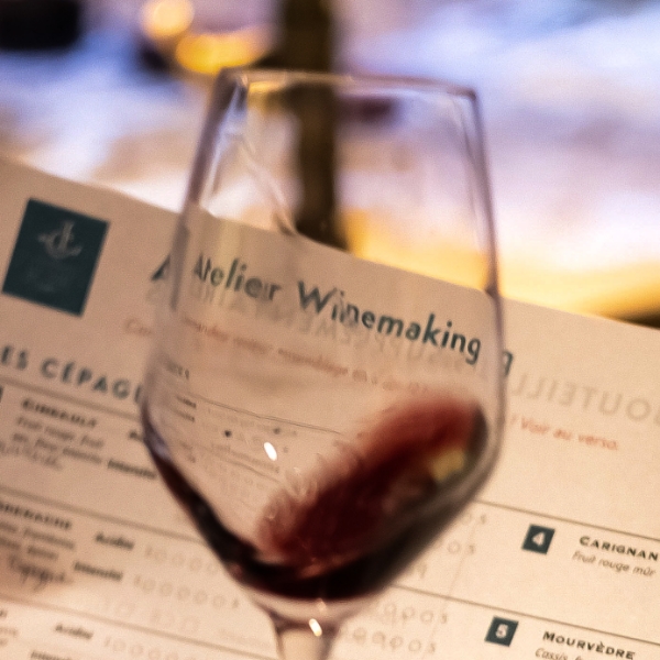 Winemaking workshop – Make your own wine 🇬🇧 (8)